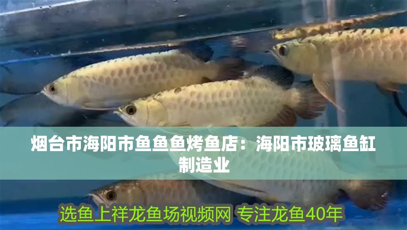 煙臺市海陽市魚魚魚烤魚店：海陽市玻璃魚缸制造業
