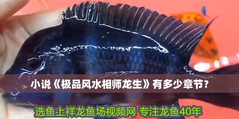 小說《極品風水相師龍生》有多少章節？