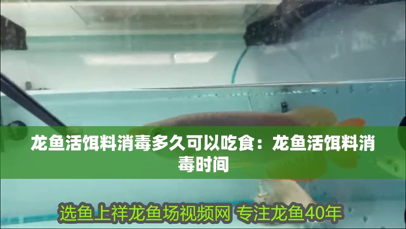 龍魚活餌料消毒多久可以吃食：龍魚活餌料消毒時間