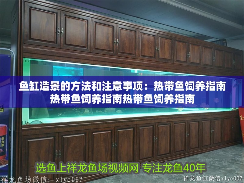 魚缸造景的方法和注意事項：熱帶魚飼養指南熱帶魚飼養指南熱帶魚飼養指南