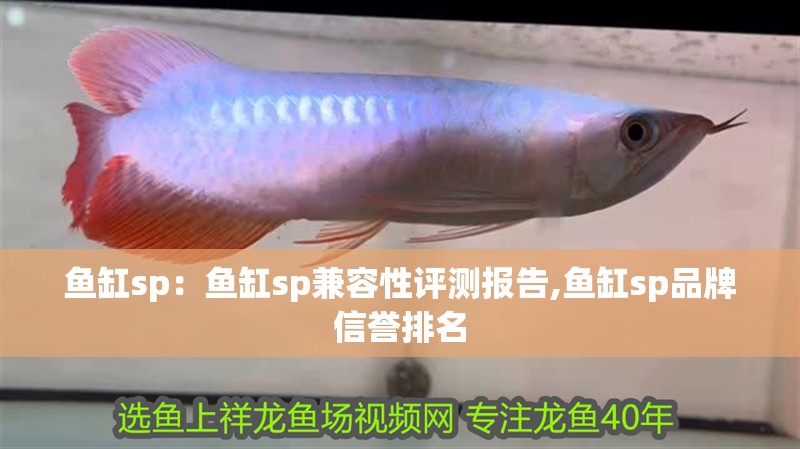 魚缸sp：魚缸sp兼容性評測報告,魚缸sp品牌信譽排名
