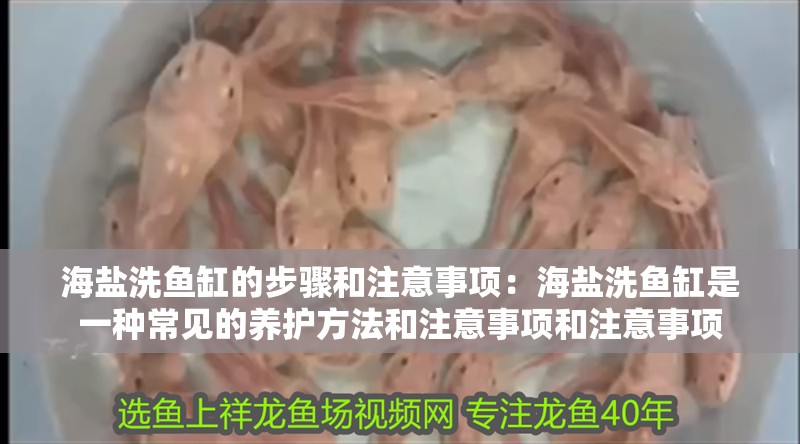 海鹽洗魚缸的步驟和注意事項：海鹽洗魚缸是一種常見的養(yǎng)護方法和注意事項和注意事項