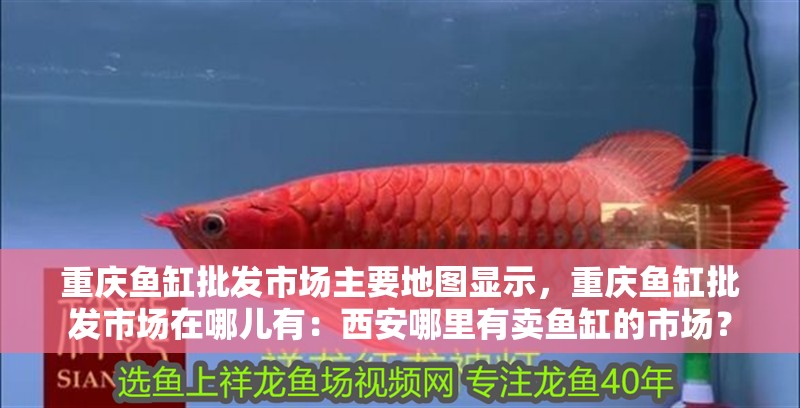 重慶魚缸批發(fā)市場主要地圖顯示，重慶魚缸批發(fā)市場在哪兒有：西安哪里有賣魚缸的市場？