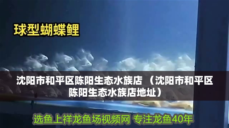 龍魚干蝦有營養(yǎng)嗎 沈陽市和平區(qū)陳陽生態(tài)水族店 (沈陽市和平區(qū)陳陽生態(tài)水族店地址) 全國水族館企業(yè)名錄 沈陽市和平區(qū)陳陽生態(tài)水族店 (沈陽市和平區(qū)陳陽生態(tài)水族店地址) 沈陽市和平區(qū)陳陽生態(tài)水族店 (沈陽市和平區(qū)陳陽生態(tài)水族店地址) 全國水族館企業(yè)名錄