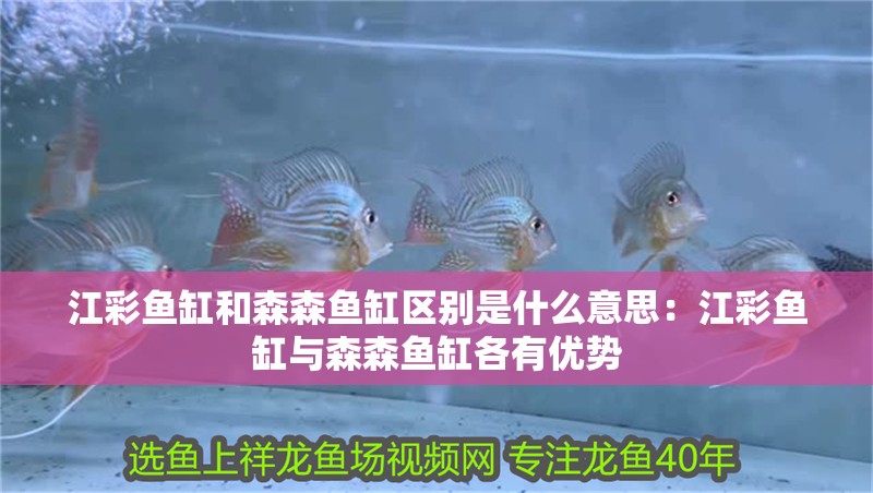 江彩魚缸和森森魚缸區別是什么意思：江彩魚缸與森森魚缸各有優勢