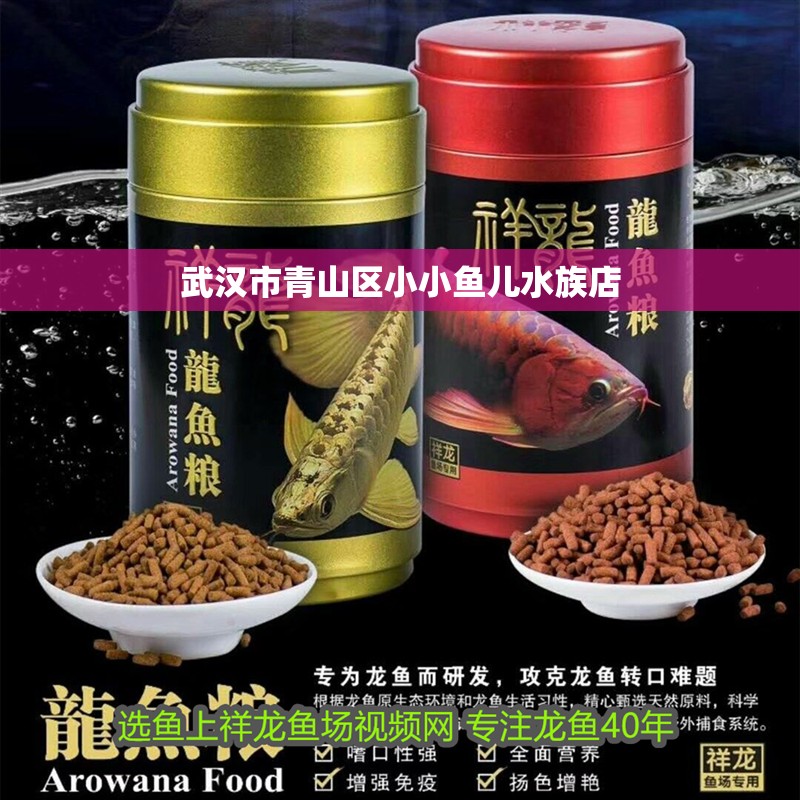 武漢市青山區小小魚兒水族店