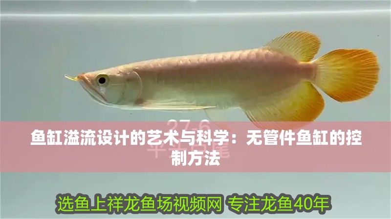 魚缸溢流設計的藝術與科學：無管件魚缸的控制方法
