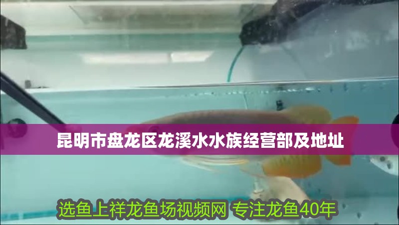 昆明市盤龍區龍溪水水族經營部及地址