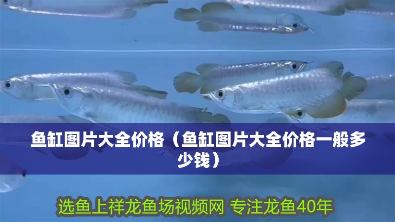 魚缸圖片大全價(jià)格（魚缸圖片大全價(jià)格一般多少錢）