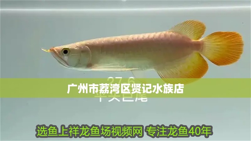 廣州市荔灣區(qū)賢記水族店