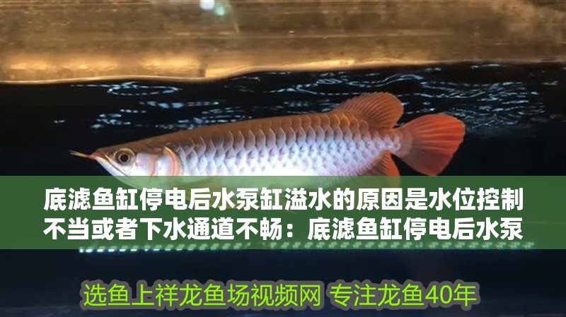 底濾魚缸停電后水泵缸溢水的原因是水位控制不當或者下水通道不暢：底濾魚缸停電后水泵缸溢水怎么辦