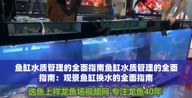 魚缸水質管理的全面指南魚缸水質管理的全面指南：觀景魚缸換水的全面指南