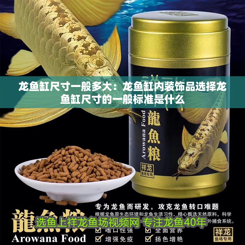 龍魚缸尺寸一般多大：龍魚缸內裝飾品選擇龍魚缸尺寸的一般標準是什么