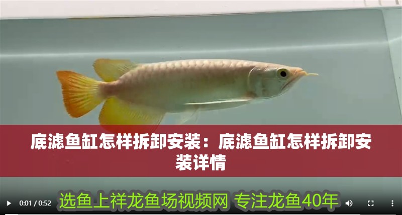 底濾魚缸怎樣拆卸安裝：底濾魚缸怎樣拆卸安裝詳情