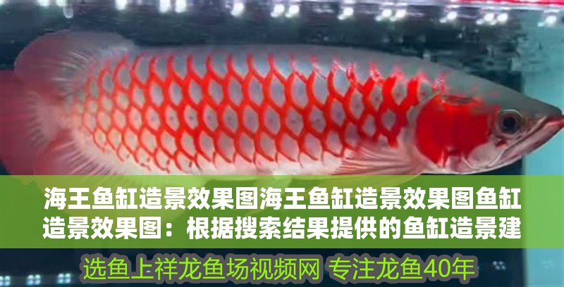 海王魚缸造景效果圖海王魚缸造景效果圖魚缸造景效果圖：根據搜索結果提供的魚缸造景建議和技巧