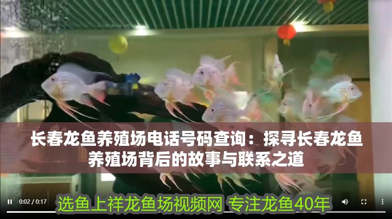 長春龍魚養(yǎng)殖場電話號碼查詢：探尋長春龍魚養(yǎng)殖場背后的故事與聯(lián)系之道