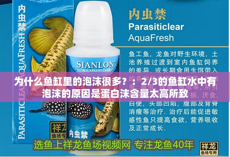 為什么魚缸里的泡沫很多？：2/3的魚缸水中有泡沫的原因是蛋白沫含量太高所致