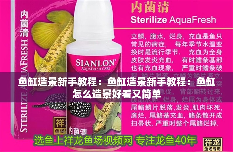 魚缸造景新手教程：魚缸造景新手教程：魚缸怎么造景好看又簡單