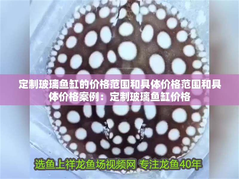 定制玻璃魚缸的價格范圍和具體價格范圍和具體價格案例：定制玻璃魚缸價格