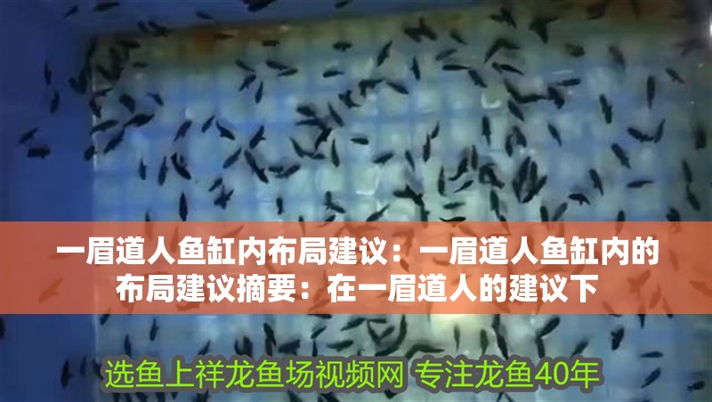 一眉道人魚缸內布局建議：一眉道人魚缸內的布局建議摘要：在一眉道人的建議下