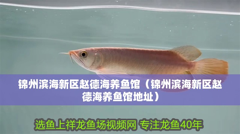 錦州濱海新區趙德海養魚館（錦州濱海新區趙德海養魚館地址）