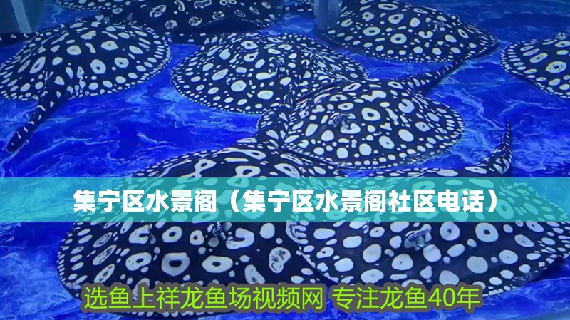 集寧區水景閣（集寧區水景閣社區電話）