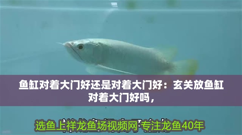 魚缸對著大門好還是對著大門好：玄關放魚缸對著大門好嗎，