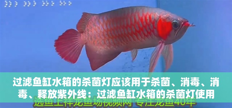 過濾魚缸水箱的殺菌燈應(yīng)該用于殺菌、消毒、消毒、釋放紫外線：過濾魚缸水箱的殺菌燈使用方法