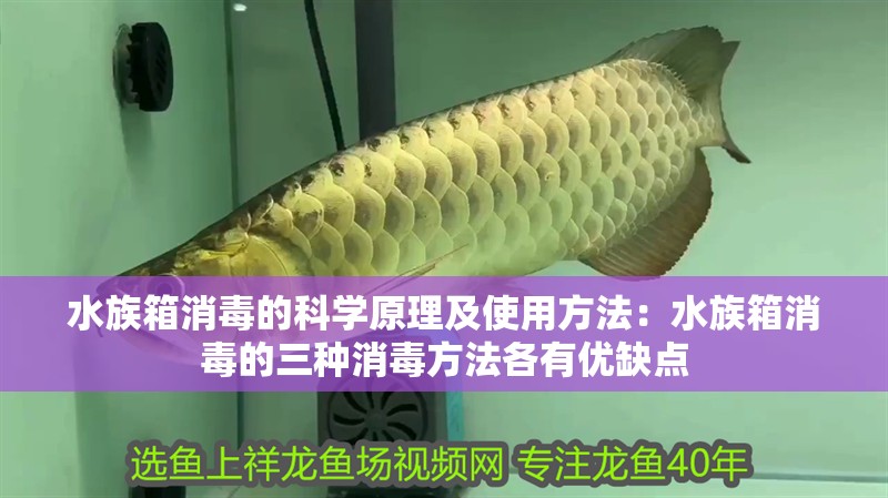 水族箱消毒的科學原理及使用方法：水族箱消毒的三種消毒方法各有優缺點