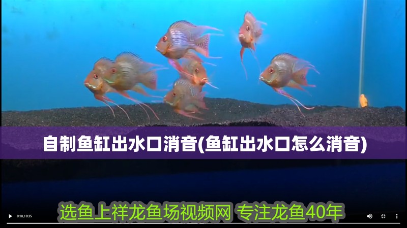 自制魚缸出水口消音(魚缸出水口怎么消音)