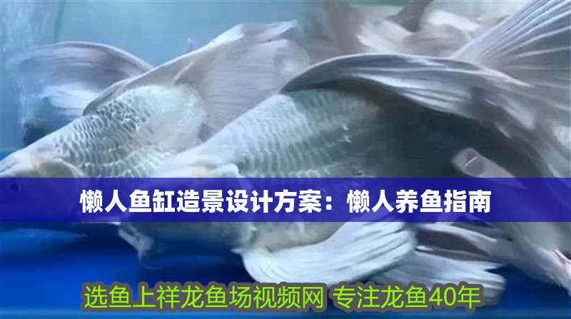 懶人魚(yú)缸造景設(shè)計(jì)方案：懶人養(yǎng)魚(yú)指南