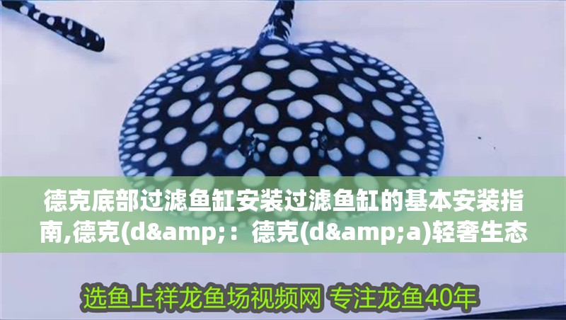 德克底部過濾魚缸安裝過濾魚缸的基本安裝指南,德克(d&：德克(d&a)輕奢生態(tài)草缸蘭壽魚缸客廳造景