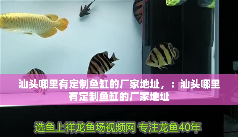 汕頭哪里有定制魚缸的廠家地址，：汕頭哪里有定制魚缸的廠家地址