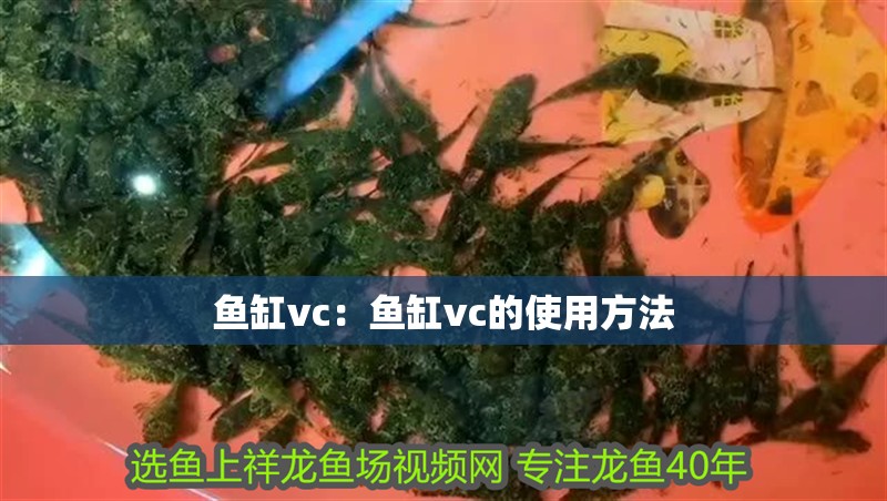 魚缸vc：魚缸vc的使用方法