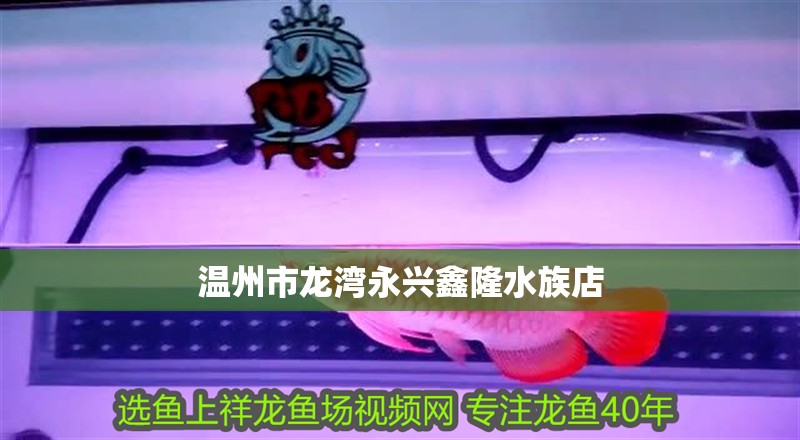 溫州市龍灣永興鑫隆水族店