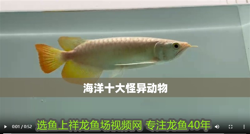海洋十大怪異動物