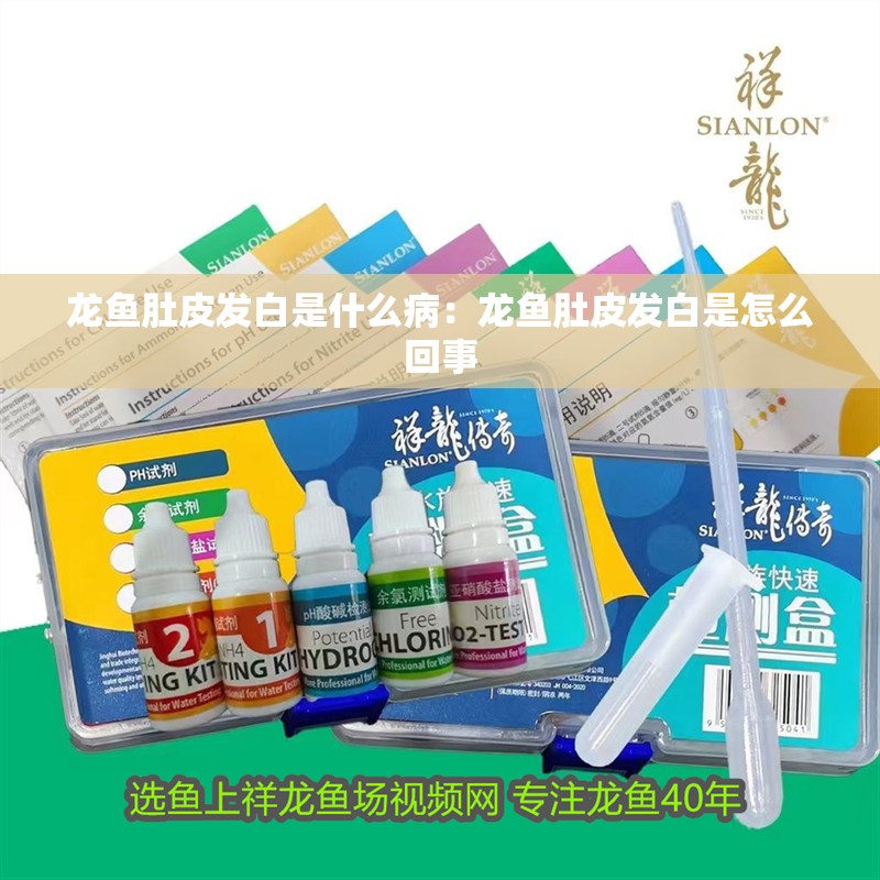 龍魚肚皮發白是什么病：龍魚肚皮發白是怎么回事