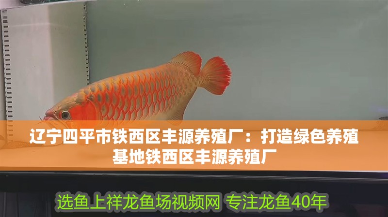 遼寧四平市鐵西區豐源養殖廠：打造綠色養殖基地鐵西區豐源養殖廠