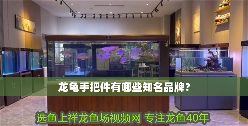 龍龜手把件有哪些知名品牌？
