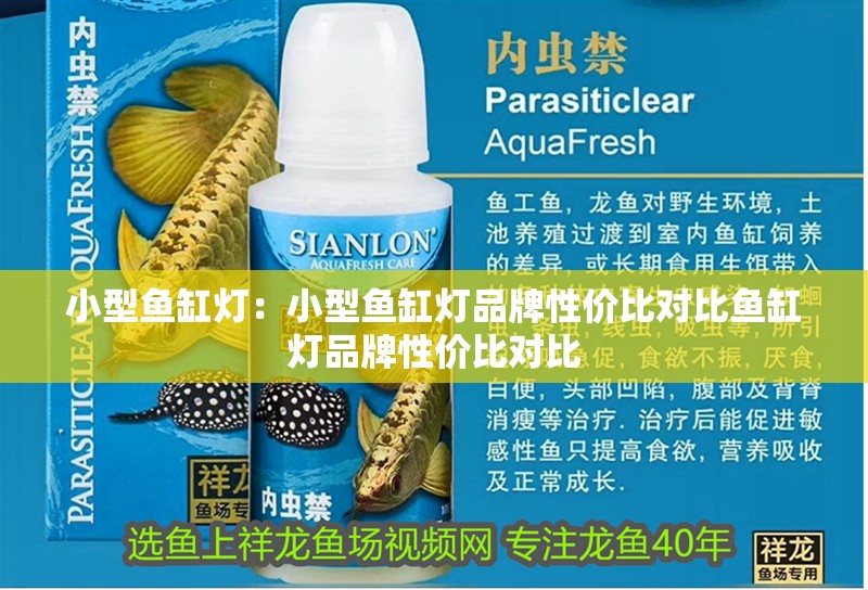 小型魚缸燈：小型魚缸燈品牌性價(jià)比對(duì)比魚缸燈品牌性價(jià)比對(duì)比