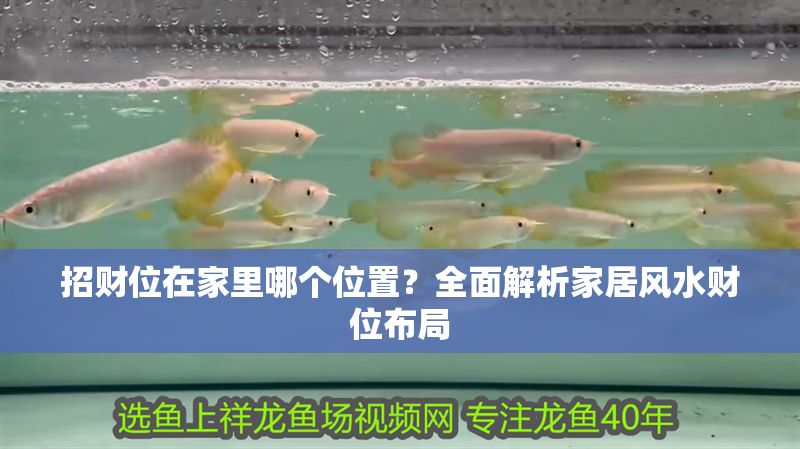 招財位在家里哪個位置？全面解析家居風水財位布局