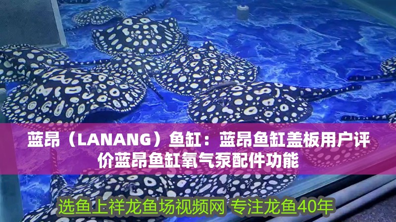 藍昂（LANANG）魚缸：藍昂魚缸蓋板用戶評價藍昂魚缸氧氣泵配件功能 藍昂（LANANG）魚缸：藍昂魚缸蓋板用戶評價藍昂魚缸氧氣泵配件功能 魚缸百科