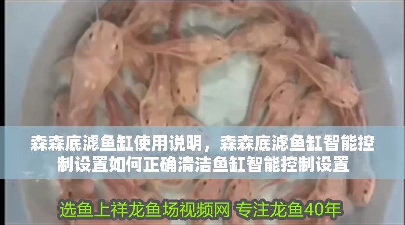 森森底濾魚缸使用說明，森森底濾魚缸智能控制設置如何正確清潔魚缸智能控制設置