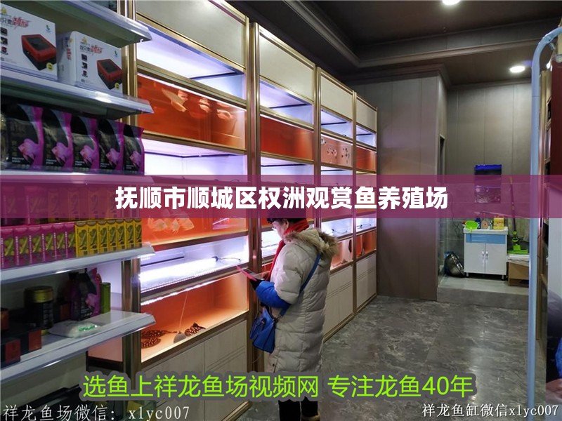 撫順市順城區權洲觀賞魚養殖場