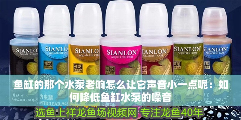 魚缸的那個水泵老響怎么讓它聲音小一點呢：如何降低魚缸水泵的噪音