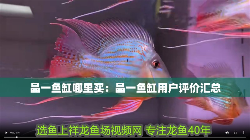 晶一魚缸哪里買：晶一魚缸用戶評價匯總