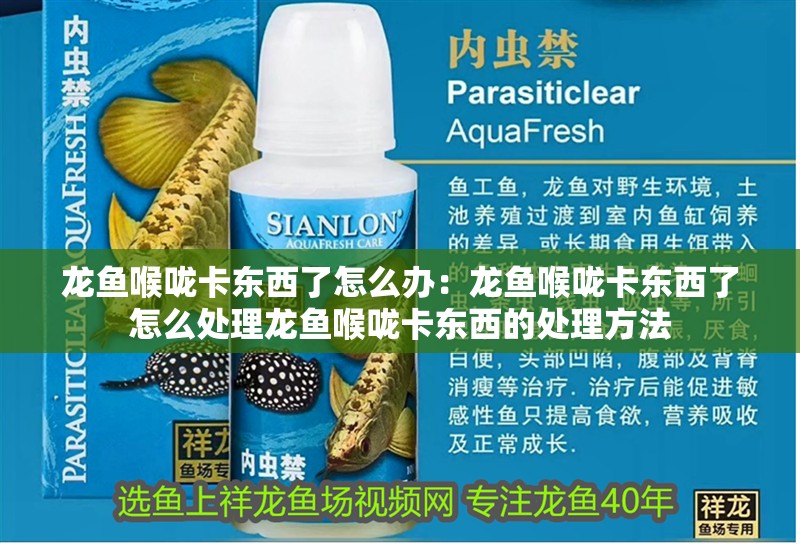 龍魚喉嚨卡東西了怎么辦：龍魚喉嚨卡東西了怎么處理龍魚喉嚨卡東西的處理方法