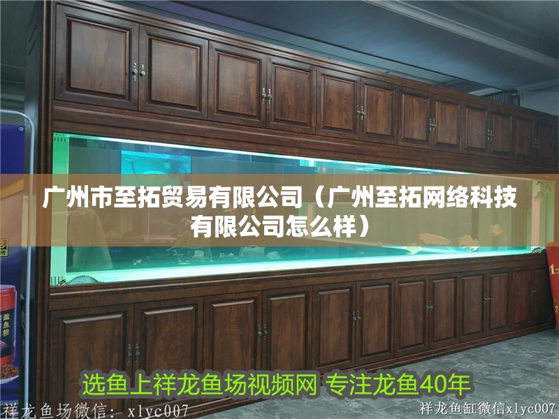 廣州市至拓貿(mào)易有限公司（廣州至拓網(wǎng)絡(luò)科技有限公司怎么樣）