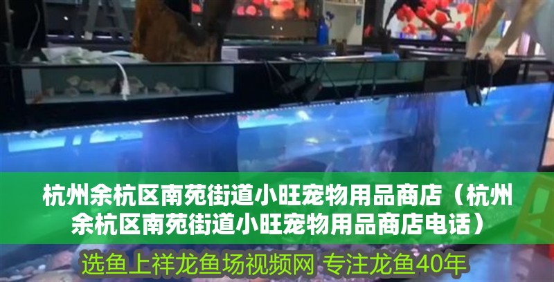 杭州<strong><mark>余杭</mark></strong>區南苑街道小旺寵物用品商店（杭州<strong><mark>余杭</mark></strong>區南苑街道小旺寵物用品商店電話）