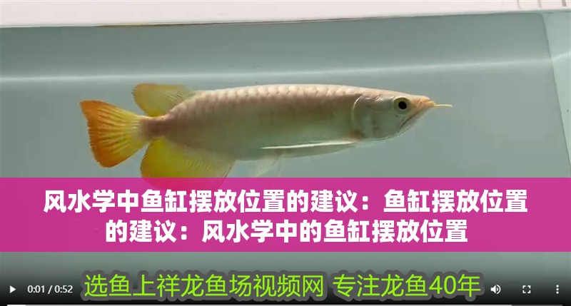 風水學中魚缸擺放位置的建議：魚缸擺放位置的建議：風水學中的魚缸擺放位置
